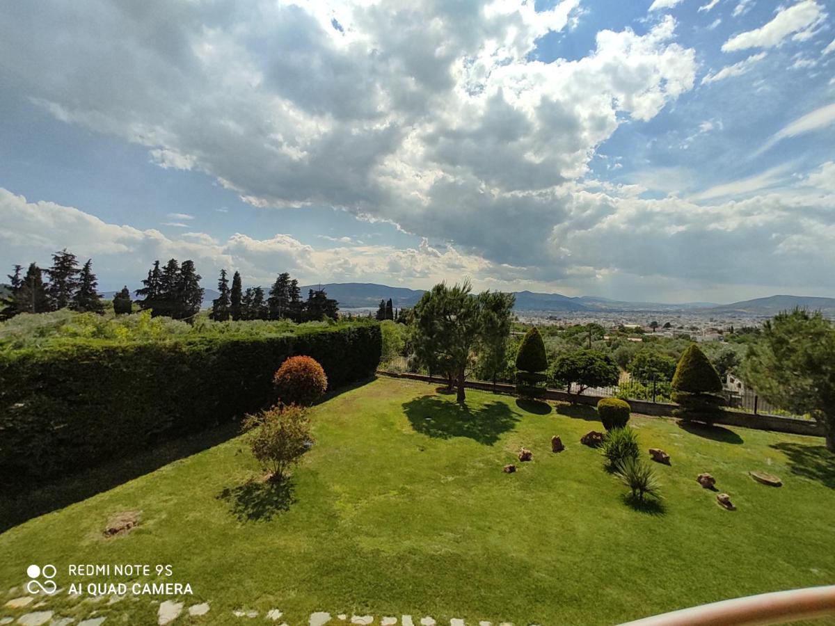 Luxury Villa Thea 볼로스 외부 사진