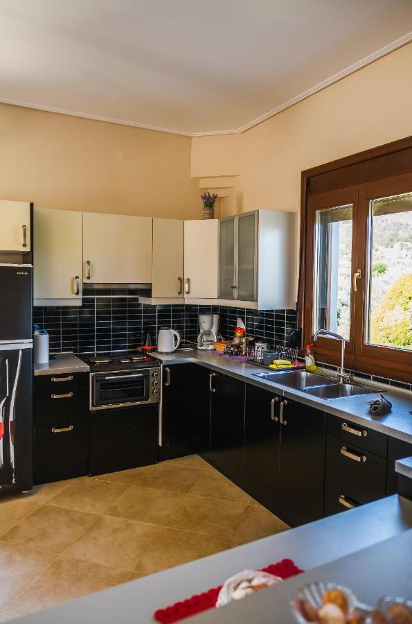 Luxury Villa Thea 볼로스 외부 사진